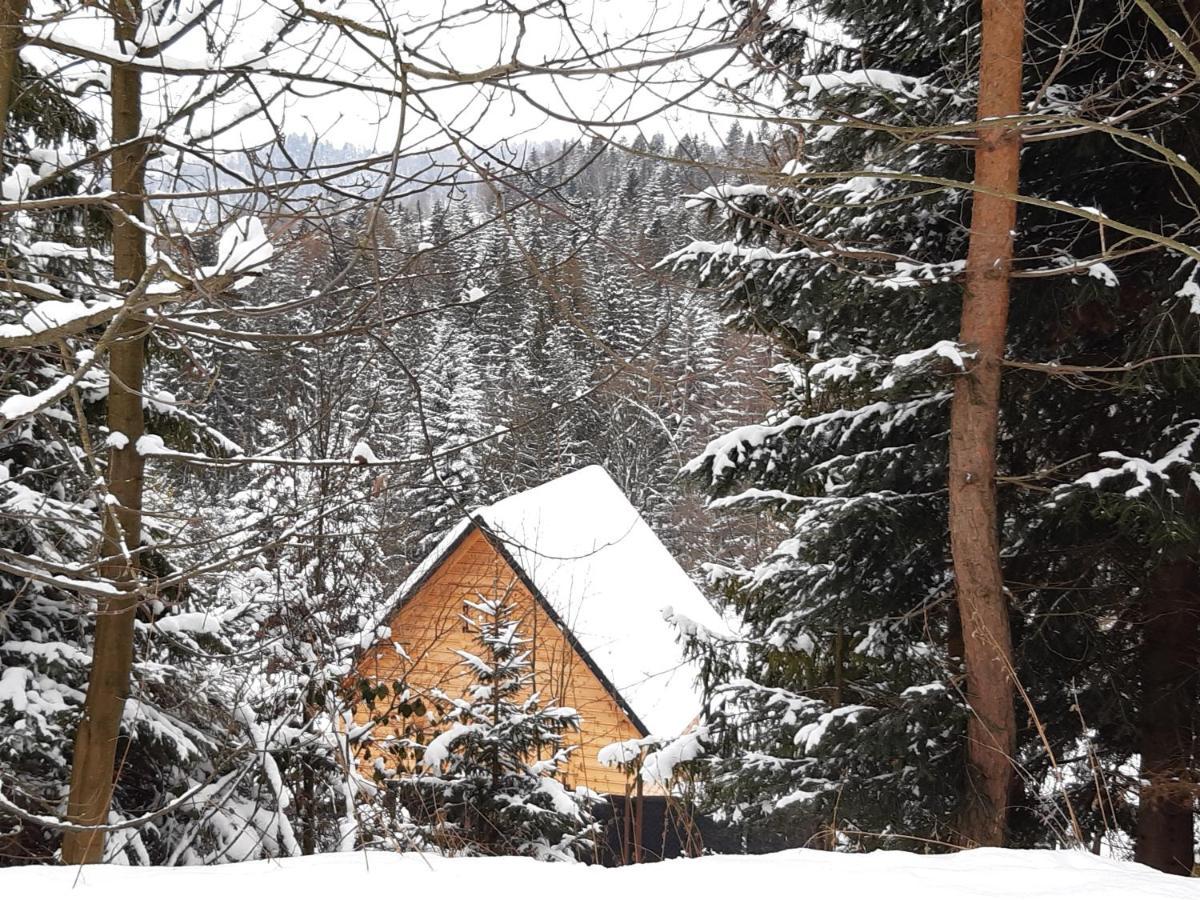 Holiday home Roza Kamesznica