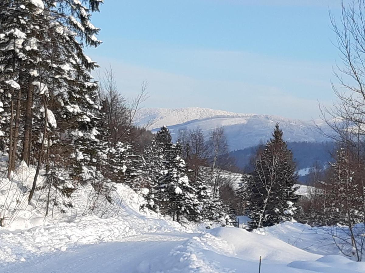 Roza Holiday home Kamesznica