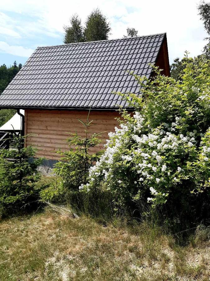 Holiday home Roza