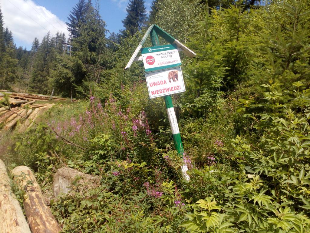 Roza Holiday home