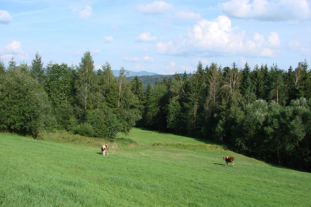 Holiday home Roza Kamesznica