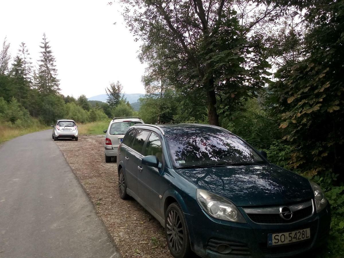Roza * Kamesznica