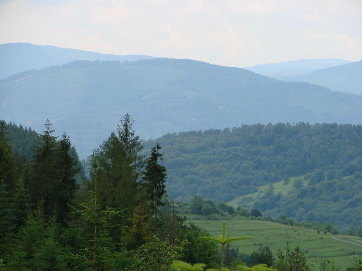Ferienhaus Roza *